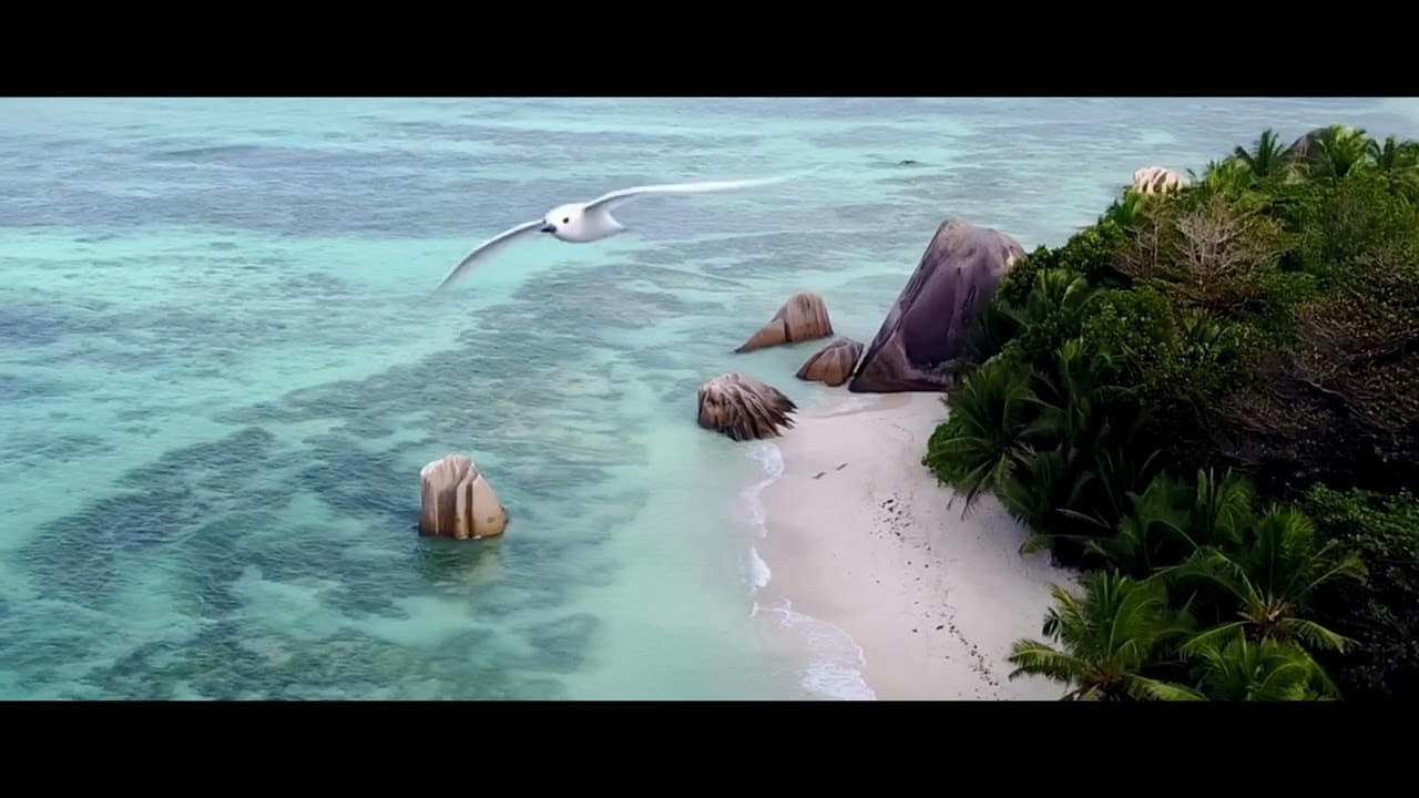 Video thumbnail for youtube video ghuzip71liy