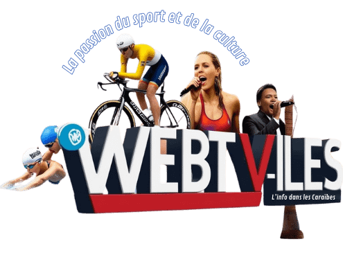 Portail Webtv