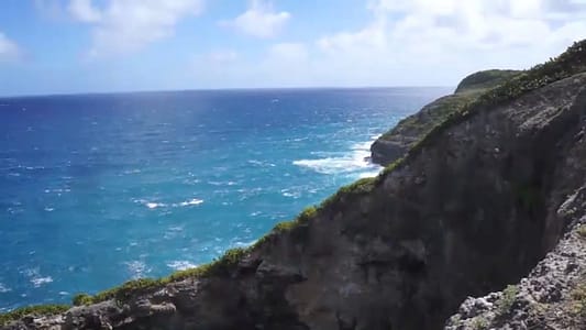 anse du coq marie galante